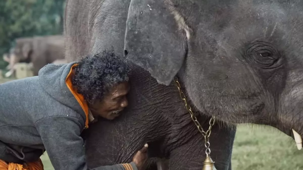 Can Oscar-nominated The Elephant Whisperers give a fillip to India’s